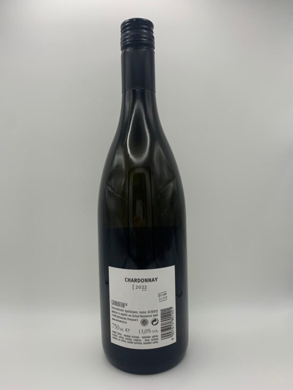 Gerhard Markowitsch - Chardonnay Carnuntum - 2022 – Bild 3